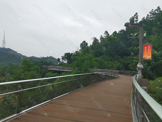 LED燈桿屏 LED廣告機.jpg LED燈桿屏 LED廣告機.jpg